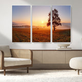 57919623-MGV-CV-36X24-Golden Sunrise Landscape Canvas Wall Art - Framed Misty Field Print, Large Nature Canvas for Living Room, Office, or Home Decor