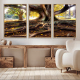 53335-MGV-CV-36X24-Majestic Tree with Sprawling Roots Wall Art – Serene Sunlit Park Scene, Nature Canvas Print, Perfect for Living Room, Office or
