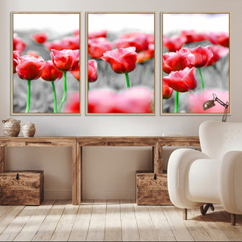 44554-MGV-CV-36X24-Vibrant red tulips stand out beautifully against a black-and-white background, making a striking decor piece perfect for any home