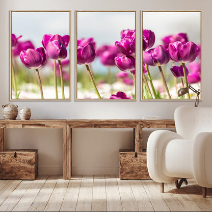 30632-MGV-CV-36X24-Purple Tulip Field Wall Art – Beautiful Spring Flowers Canvas Print with Soft Focus and Bright Sky, Ideal Floral Decor for Home or