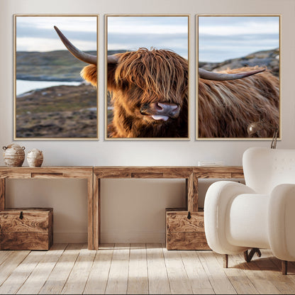 71222-MGV-FC-60X30-3P_Natural-A playful Highland cow with shaggy fur sticks out its tongue, set against a rugged landscape — perfect for quirky home or office