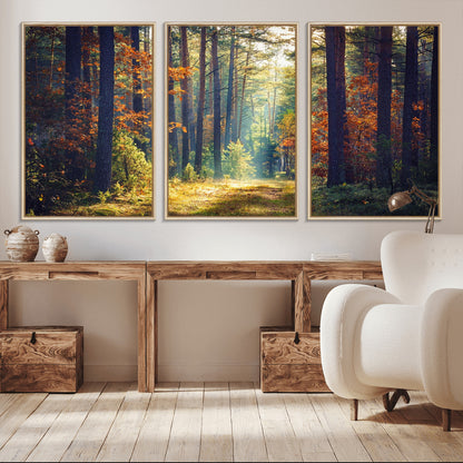 86249-MGV-CV-36X24-Sunlit Autumn Forest Path Wall Art – Peaceful Nature Scene with Fall Foliage, Calming Woods Decor for Home or Office