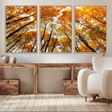 11823-MGV-CV-36X24-Golden Autumn Tree Canopy Wall Art – Stunning Fall Forest Leaves Print, Warm Seasonal Nature Decor for Home, Office or Cabin