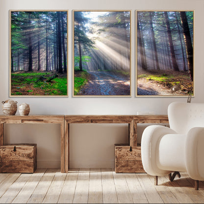 42047-MGV-CV-36X24-Sunlit Forest Path Wall Art – Nature Canvas Print, Serene Woodland Landscape, Perfect Home & Office Decor for Calm and Tranquil