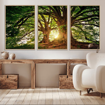 52150-MGV-CV-36X24-Majestic Tree Wall Art – Large Nature Canvas Print with Sunlight Through Branches, Rustic Forest Decor for Living Room, Bedroom or