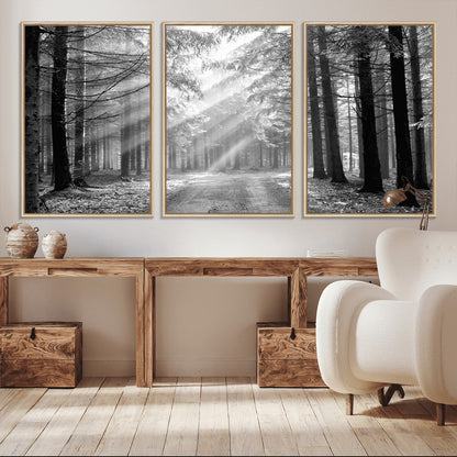 39665-MGV-CV-36X24-Black and White Forest Path Wall Art – Sunlight Rays in Trees Canvas Print, Nature Landscape Decor for Living Room or Office