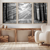 39665-MGV-CV-36X24-Black and White Forest Path Wall Art – Sunlight Rays in Trees Canvas Print, Nature Landscape Decor for Living Room