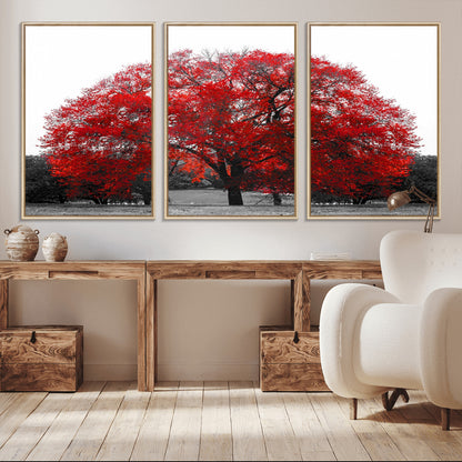 80021-MGV-CV-36X24-Red Tree Wall Art – Striking Black and White Landscape Canvas Print with Vibrant Red Leaves, Modern Nature Decor for Living Room