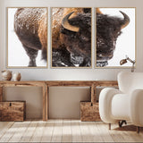 65605-MGV-CV-36X24-Snow Bison Wall Art – Close Up Buffalo Canvas Print, Rustic Western Wildlife Photography, Farmhouse Cabin Lodge Decor for Living