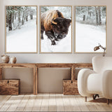 10109-MGV-CV-36X24-Majestic Bison Winter Wall Art – Snowy Forest Buffalo Canvas Print, Rustic Wildlife Photography Decor for Cabin, Lodge, Living