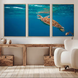 91440-MGV-CV-36X24-Sea Turtle Wall Art – Ocean Turtle Canvas Print, Underwater Marine Life Decor for Living Room, Office, Beach House or Bathroom