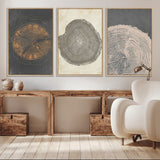 80725-MGV-CV-36X24-Wood Tree Rings Wall Art Canvas Print, Framed Tree Rings Art Picture Print, Abstract Tree Rings Perfect Modern Boho Decor Artwork