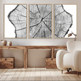 98709-MGV-CV-36X24-Tree Ring Wall Art – Black and White Canvas Print Rustic Wood Cross Section, Minimal Nature Inspired Decor for Living Room,