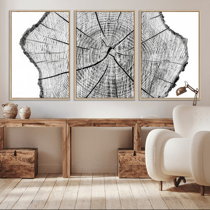 98709-MGV-CV-36X24-Tree Ring Wall Art – Black and White Canvas Print Rustic Wood Cross Section, Minimal Nature Inspired Decor for Living Room,