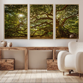 57983-MGV-CV-36X24-Angel Oak Tree Wall Art Canvas Print, Framed Oak Tree Art Picture Print, Angel Oak Perfect Rustic Nature Decor Artwork