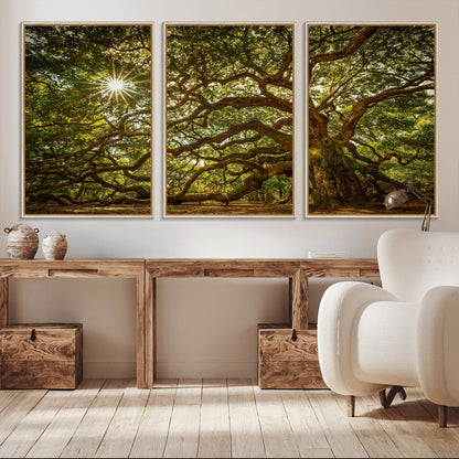 57983-MGV-CV-36X24-Angel Oak Tree Wall Art Canvas Print, Framed Oak Tree Art Picture Print, Angel Oak Perfect Rustic Nature Decor Artwork