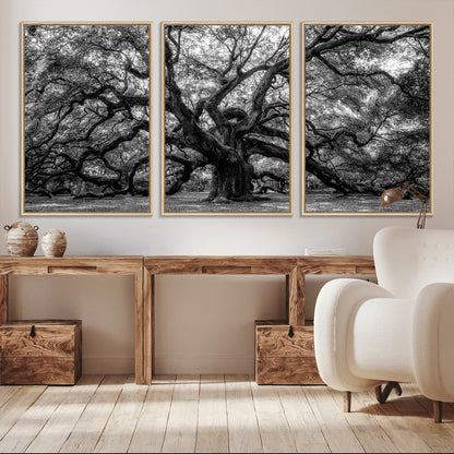 132944706-MGV-CV-36X24-Ancient Tree Wall Art – Black and White Photography Canvas Print Featuring Majestic Twisting Branches, Rustic Nature Artwork for