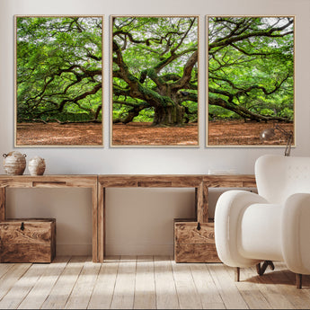 51255351-MGV-CV-36X24-Ancient Tree Wall Art – Majestic Oak Canvas Print, Large Nature Photography, Sacred Forest Landscape Wall Décor, Wisdom Tree