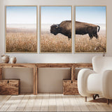91267849-MGV-FC-60X30-3P_Natural-Wild Bison Wall Art Canvas Print, Framed Bison in Prairie Art Picture Print, Rustic Western Perfect Rustic Western Decor Artwork