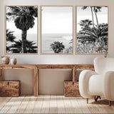 89458520-MGV-CV-36X24-Palm Trees Wall Art Canvas Print, Framed Coastal View Art Picture Print, Ocean Horizon Perfect Monochrome Coast Decor Artwork