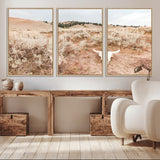 97234735-MGV-CV-36X24-Rustic Bones Wall Art Canvas Print, Framed Desert Sage Art Picture Print, Prairie Skull Perfect Minimal Rustic Decor Artwork