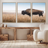 99620201-MGV-CV-36X24-Wild Bison Wall Art Canvas Print, Framed Bison in Prairie Art Picture Print, Rustic Western Perfect Rustic Western Decor Artwork