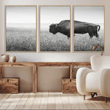 28435251-MGV-CV-36X24-Bison In Prairie Wall Art Canvas Print, Framed Rustic Wildlife Art Picture Print, Wild Buffalo Perfect Rustic Western Decor