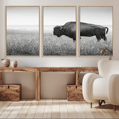 28435251-MGV-CV-36X24-Bison In Prairie Wall Art Canvas Print, Framed Rustic Wildlife Art Picture Print, Wild Buffalo Perfect Rustic Western Decor