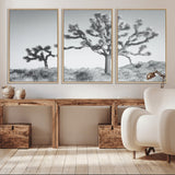 29996209-MGV-CV-36X24-Joshua Tree Art Wall Art Canvas Print, Framed Black White Landscape Art Picture Print, Desert Tree Decor Perfect Southwestern Boho