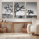 50975475-MGV-CV-36X24-Joshua Tree Art Wall Art Canvas Print, Framed Desert Tree Print Art Picture Print, Black White Nature Perfect Southwestern Boho