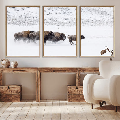 56216945-MGV-FC-60X30-3P_Natural-Bison Herd Decor Wall Art Canvas Print, Framed Snowy Bison Scene Art Picture Print, Winter Wildlife Theme Perfect Rustic Western