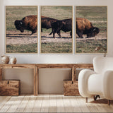 58141885-MGV-CV-36X24-Bison Photography Wall Art Canvas Print, Framed Western Wildlife Art Picture Print, Modern Ranch Perfect Western Rustic Decor