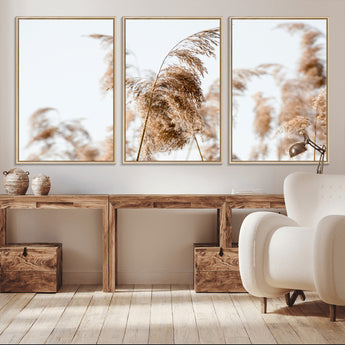 17019393-MGV-CV-36X24-Pampas Grass Wall Art Canvas Print, Framed Neutral Tones Art Picture Print, Minimalist Nature Perfect Boho Minimalist Decor