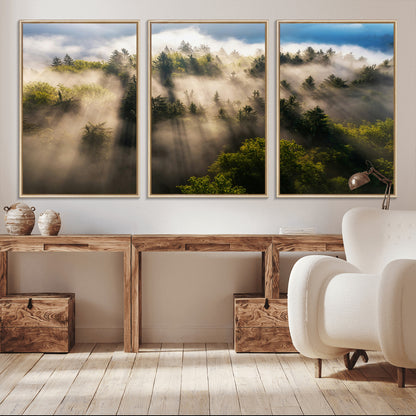 14785710-MGV-CV-36X24-Tranquil Forest Scene Wall Art Canvas Print, Framed Sunbeam Through Trees Art Picture Print, Moody Green Wall Art Perfect