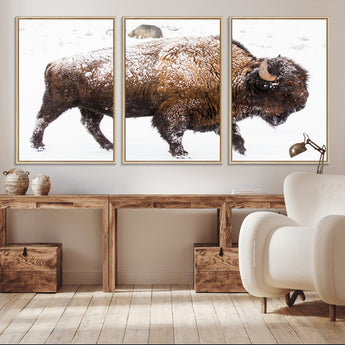 94261165-MGV-FC-60X30-3P_Natural-Snowy Buffalo Wall Art Canvas Print, Framed Wildlife Photography Art Picture Print, Brown Tones Perfect Rustic Lodge Decor Decor