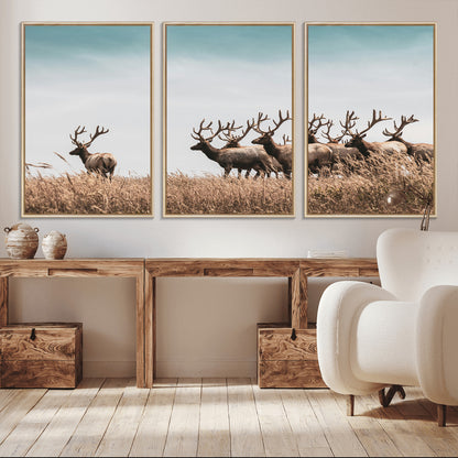 81594705-MGV-CV-36X24-Elk Herd Wall Art Canvas Print, Framed Wildlife Photography Art Picture Print, Rustic Nature Print Perfect Rustic Wildlife Decor