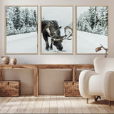 13316292-MGV-CV-36X24-Moose in Snow Wall Art Canvas Print, Framed Winter Wildlife Art Picture Print, Snowy Forest Scene Perfect Rustic Lodge Decor