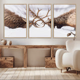 99240306-MGV-CV-36X24-Elk Wall Art – Two Bull Elk Fighting in Snow Canvas Print, Rustic Wildlife Artwork for Cabin, Lodge, Western Farmhouse, Nature &