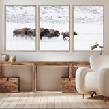 61161423-MGV-CV-36X24-Running Bison Herd Wall Art – Winter Buffalo Canvas Print, Wildlife Photography Decor for Rustic Living Room, Farmhouse, Lodge,