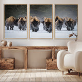 30332489-MGV-CV-36X24-Winter Bison Herd Wall Art – Powerful Buffalo Canvas Print, Rustic Wildlife Photography Decor for Farmhouse, Cabin, Lodge, Living