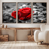 84671-MGV-CV-36X24-Red Rose Wall Art – Vibrant Single Bloom Canvas Print with Black and White Background, Elegant Floral Decor for Living Room,