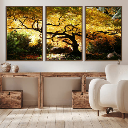 19067-MGV-CV-36X24-Golden Canopy Wall Art – Panoramic Autumn Tree Canvas Print, Warm Seasonal Decor for Living Room, Office or Garden Space