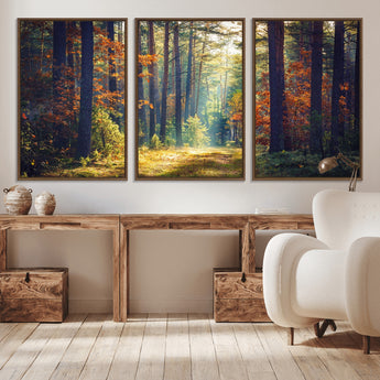 86249-MGV-CV-36X24-Sunlit Autumn Forest Path Wall Art – Peaceful Nature Scene with Fall Foliage, Calming Woods Decor for Home or Office
