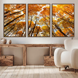 11823-MGV-CV-36X24-Golden Autumn Tree Canopy Wall Art – Stunning Fall Forest Leaves Print, Warm Seasonal Nature Decor for Home, Office or Cabin