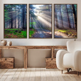 42047-MGV-CV-36X24-Sunlit Forest Path Wall Art – Nature Canvas Print, Serene Woodland Landscape, Perfect Home & Office Decor for Calm and Tranquil