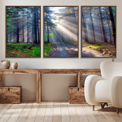 42047-MGV-CV-36X24-Sunlit Forest Path Wall Art – Nature Canvas Print, Serene Woodland Landscape, Perfect Home & Office Decor for Calm and Tranquil