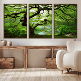 18094-MGV-CV-36X24-Emerald Canopy Wall Art – Panoramic Lush Green Tree Canvas Print, Serene Nature Decor for Office, Living Room or Meditation Space