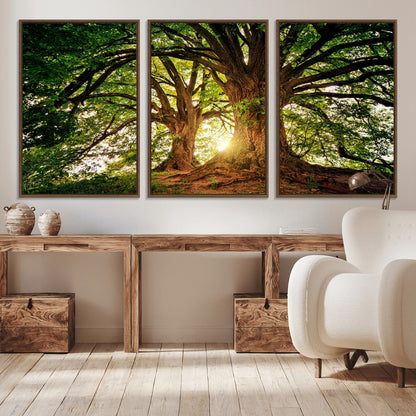 52150-MGV-CV-36X24-Majestic Tree Wall Art – Large Nature Canvas Print with Sunlight Through Branches, Rustic Forest Decor for Living Room, Bedroom or