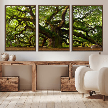 29407-MGV-CV-36X24-Ancient Oak Tree Wall Art – Majestic Nature Canvas Print, Large Tree Photography Decor for Living Room