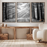 39665-MGV-CV-36X24-Black and White Forest Path Wall Art – Sunlight Rays in Trees Canvas Print, Nature Landscape Decor for Living Room or Office